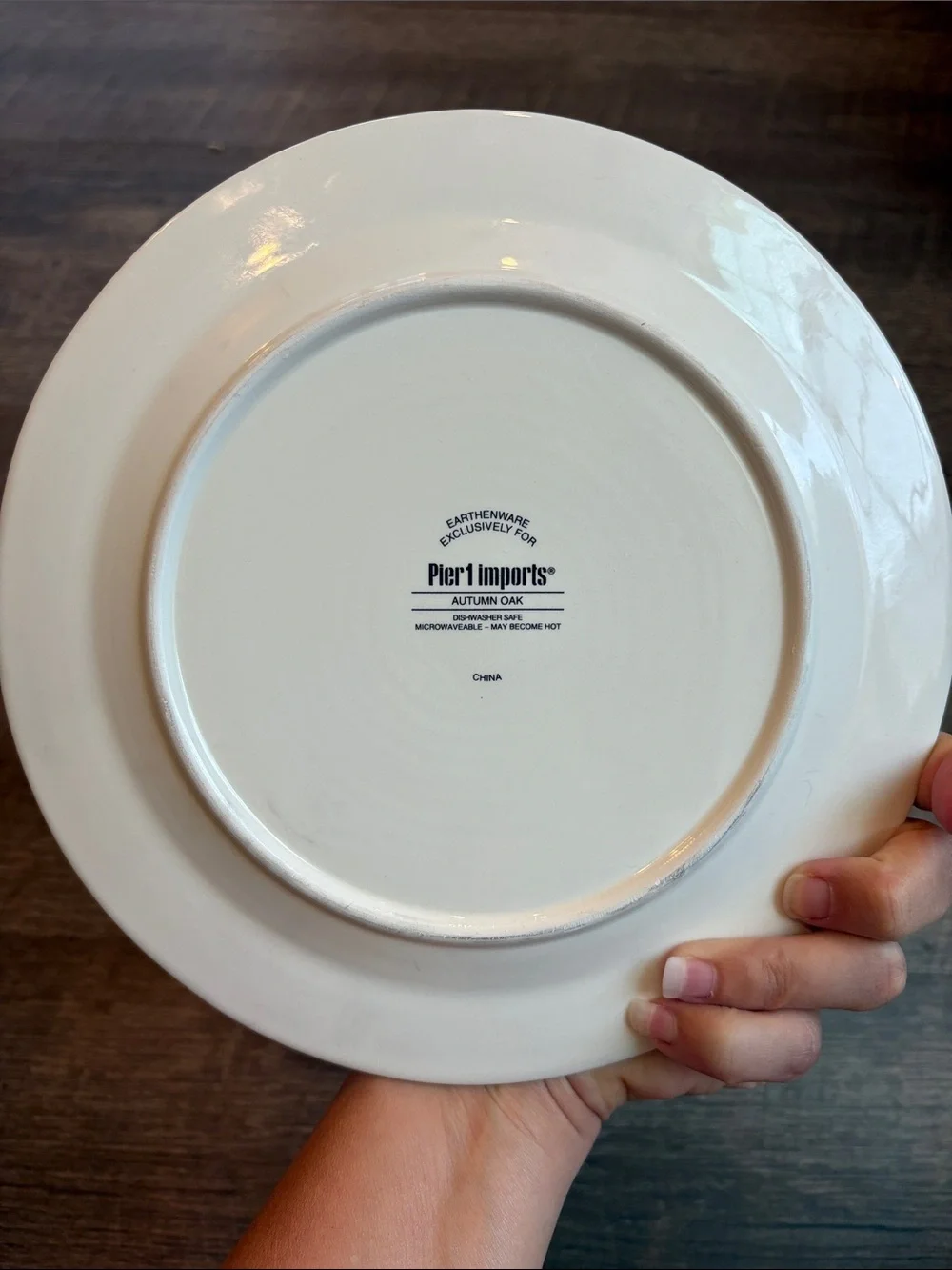 Pier 1 Autumn Oak Turkey Luncheon Salad Plates Earthenware 9